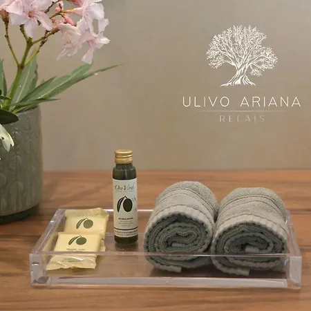 Relais Ulivo Ariana